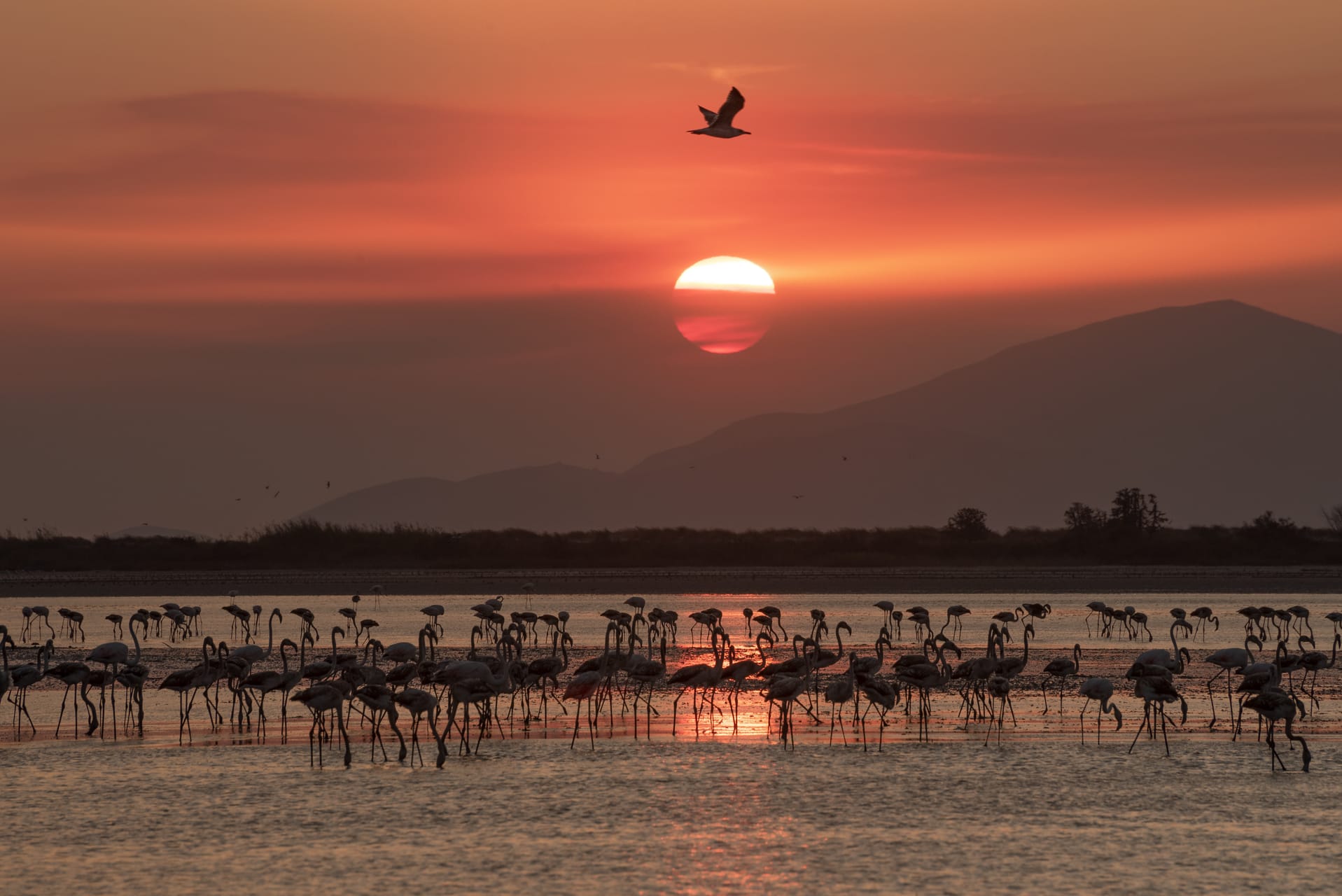 Tuz Gölü Çekimi - 5